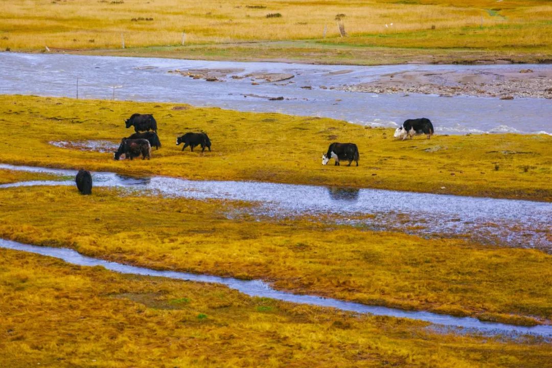送亲戚年礼讲究什么呢,论过年亲戚的送礼