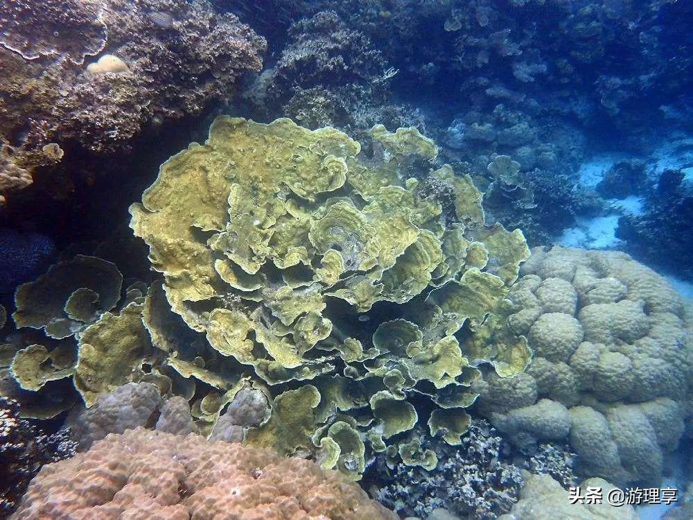 国外哪个海岛旅游可以海钓,度假海岛海钓刺激