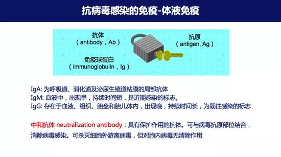 新冠病毒无症状感染者对身体影响,新冠病毒无症状与确诊有什么区别