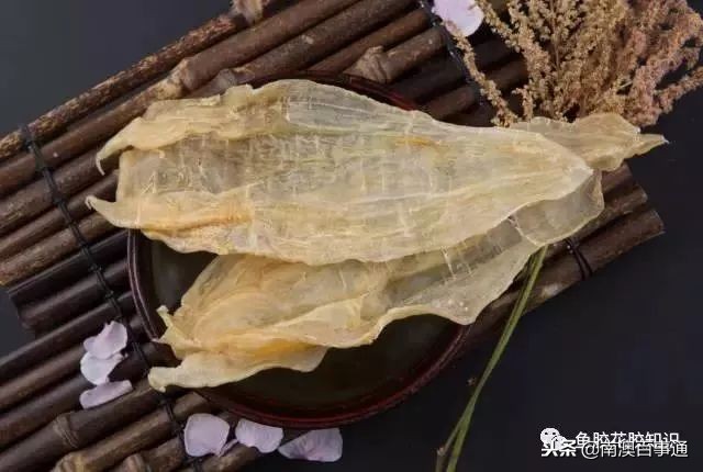 涨知识！鱼胶种类大全，不看亏大了！