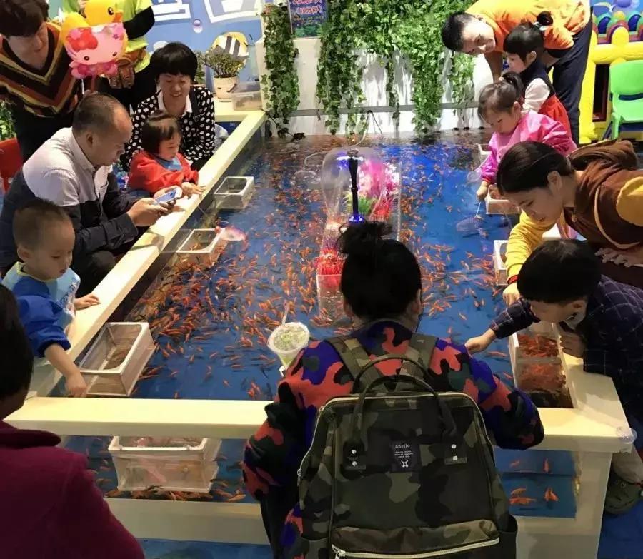 在大连去旅顺华酝牡丹园坐什么车,大连旅顺华酝牡丹园几月份适合去