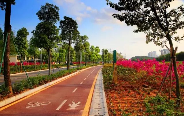 武汉市最热门的春游景点,2022武汉春游好去处