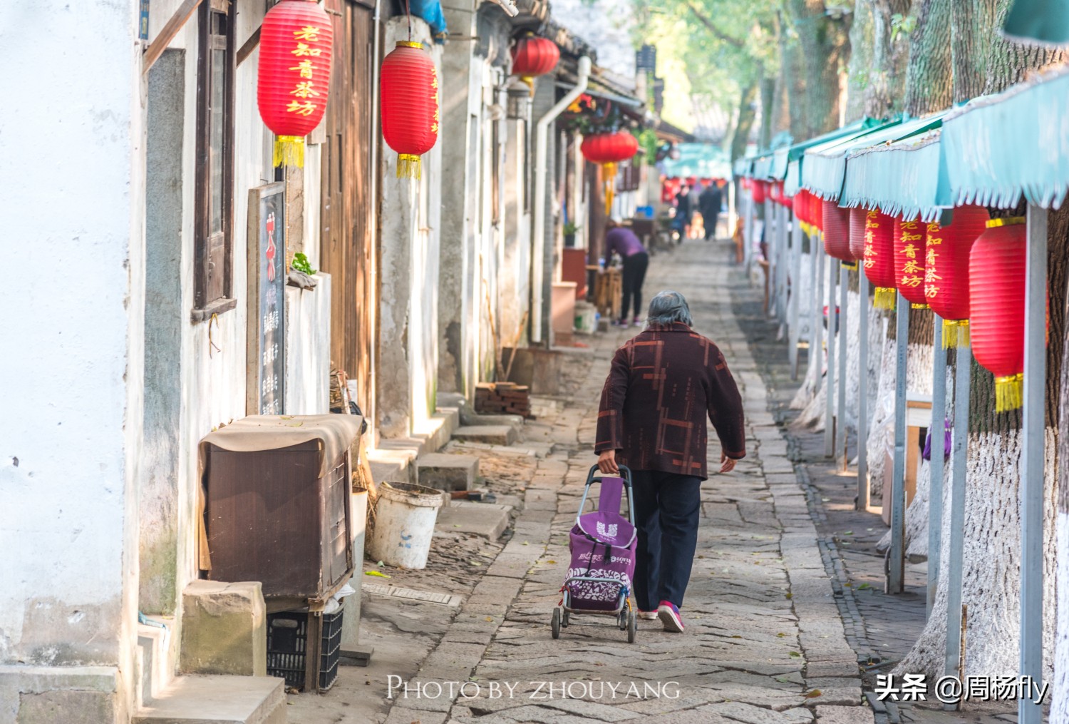 同里梦里水乡全景,同里古镇清晨视频