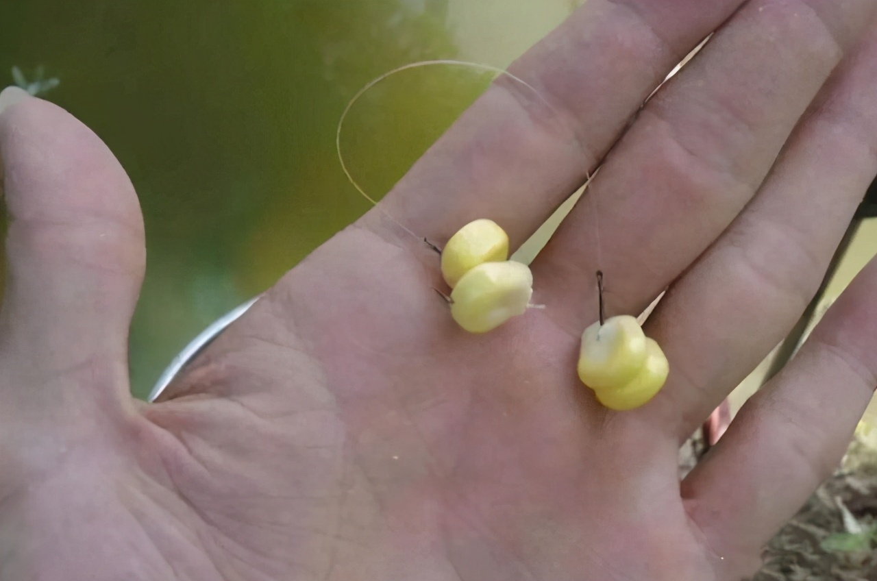 鱼饵怎么挂钩才挂得稳,正确鱼饵挂钩方法