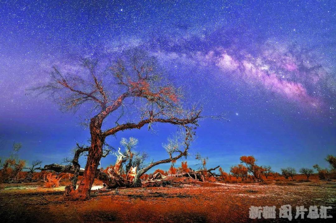 来*疆新**吧！这里的星空能满足你对浪漫的所有幻想……