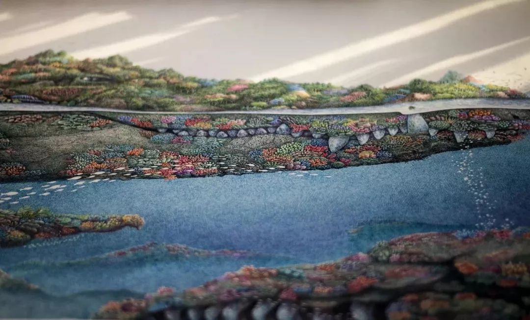 新一代中国钢笔画领军人物,极品五大钢笔画简直美爆