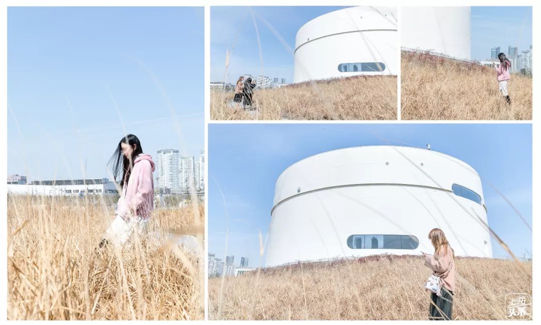 上海一日游古镇最佳路线免费景点,上海晚上十大必去免费景点