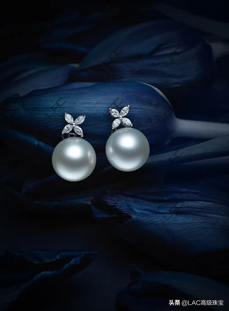 情定七夕携手相约,情定七夕