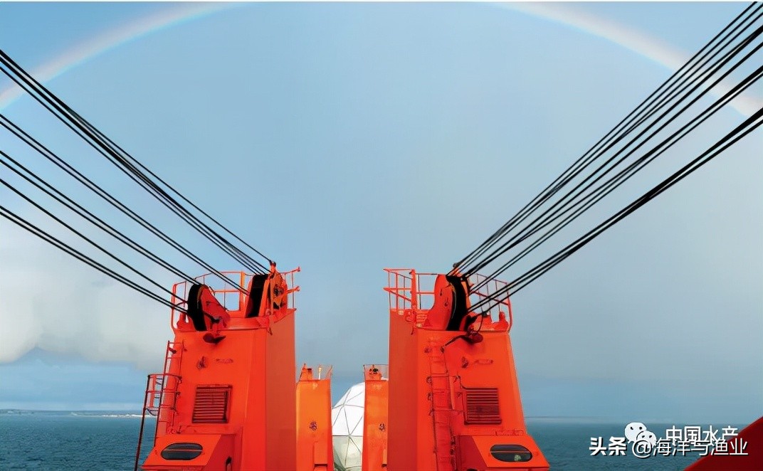 涉外法治人才培养的现实需求,我国对涉外法治人才的需求