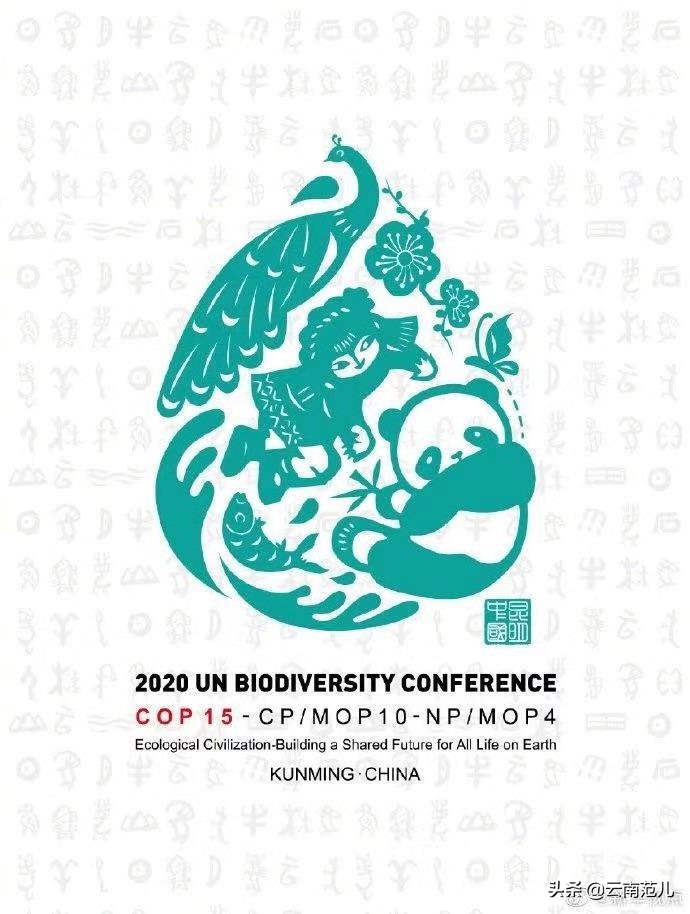 全国第十一届全运会会徽设计,国际运动会会徽有哪些