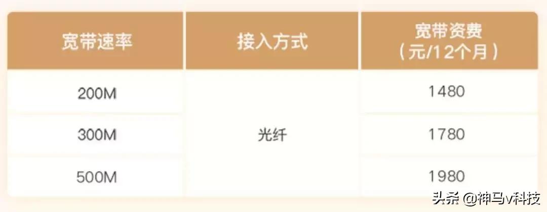 科技年的正确姿势！末班车了！快来看看你家还少啥？