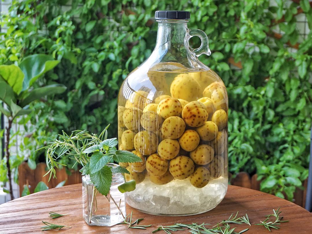 青梅酒用浓香还是酱香好喝,青梅酒最好选什么白酒