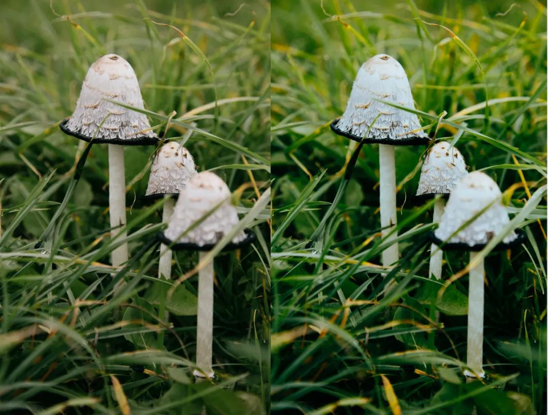 经典复古胶片风,最好看的胶片风格