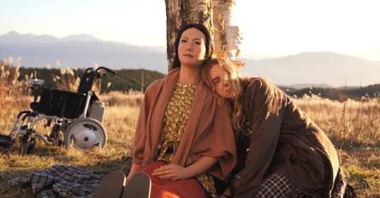 双足机器人介绍,简单双足机器人