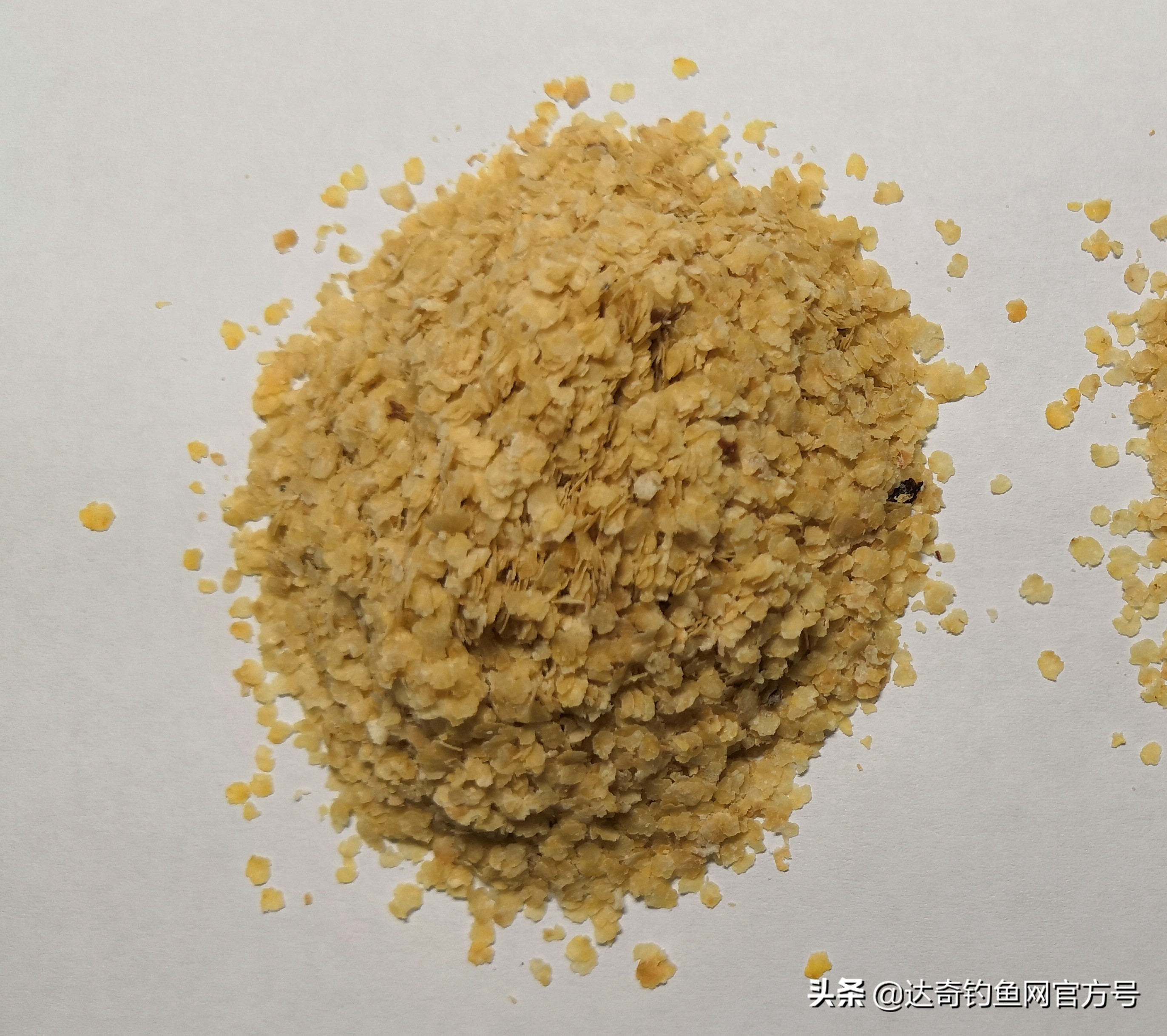 自制饵料配饵思路,自制特点饵料配方视频教程