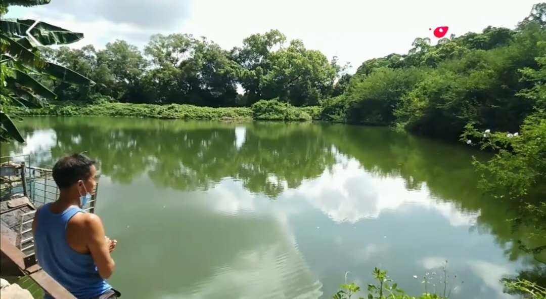 钓甲鱼方法不要太简单,钓甲鱼的五个实用技巧