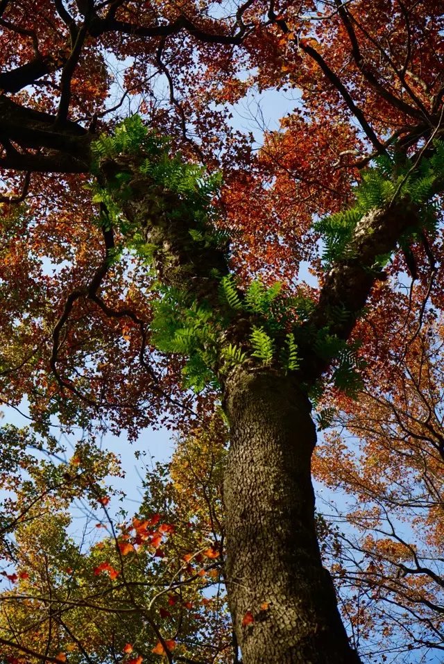 杭州适合散步小众景点,杭州人少景美的小众旅行地