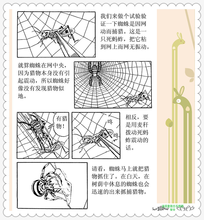 昆虫记法布尔动画片,昆虫记法布尔全套