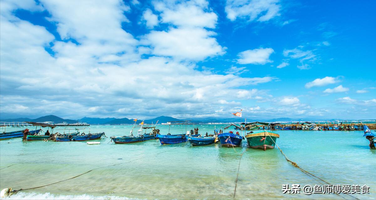 休渔海鲜有哪些,休渔期海鲜好吃吗