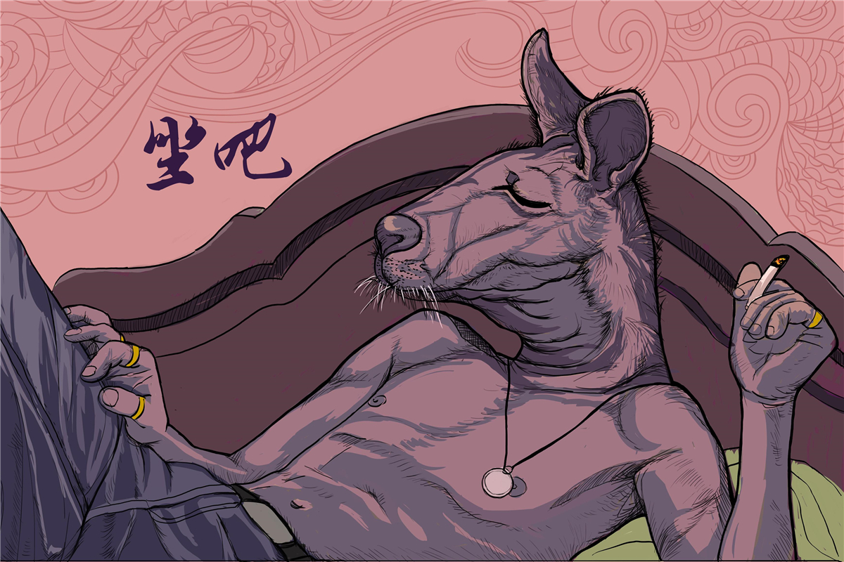 澳大利亚袋鼠有多可怕 (袋鼠为什么称霸澳大利亚)