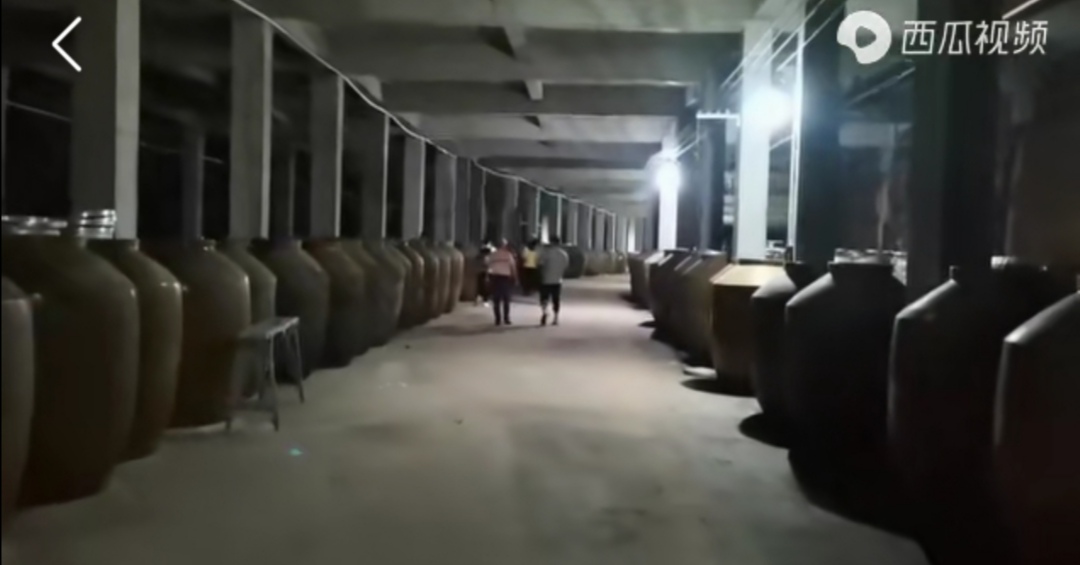 全国评酒深度解析,中国第一届评酒大会