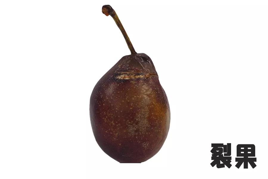 *疆新**西梅怎么选！分选标准在这里了