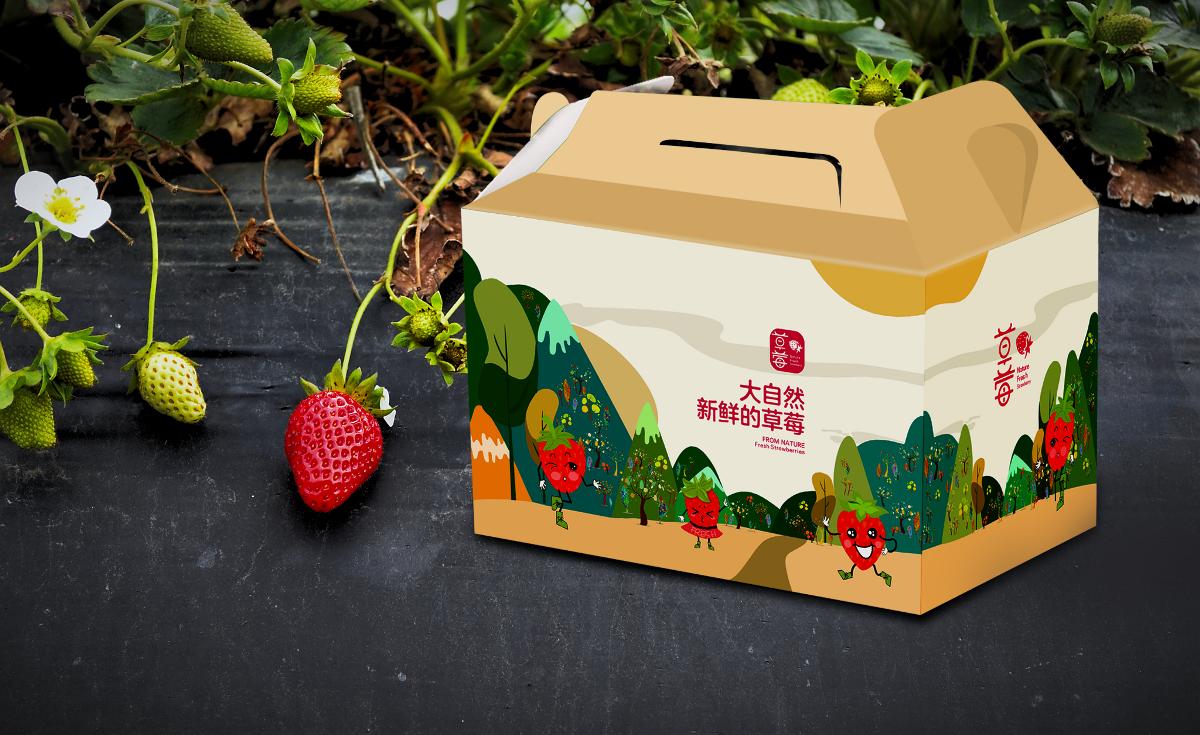 水果包装礼盒设计创意,水果礼盒包装设计分享