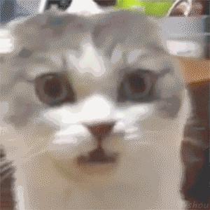 ‘吃饱了没事做’的这些奇葩又沙雕的吉尼斯世界纪录你了解过吗？