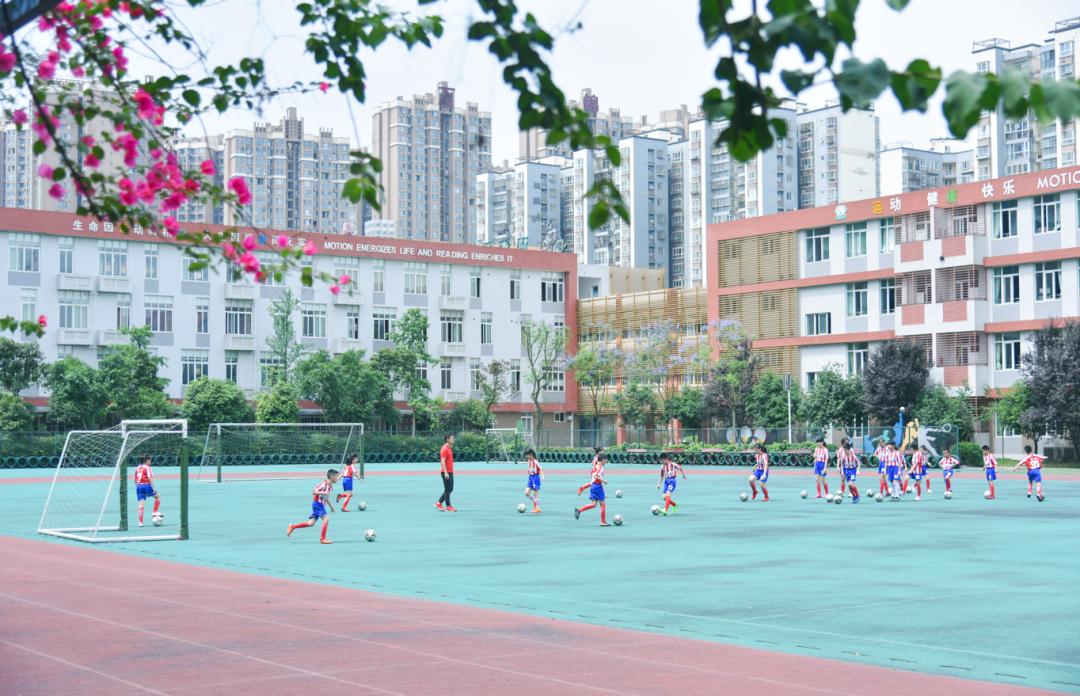 双流足球,我市新增4所全国足球特点校园