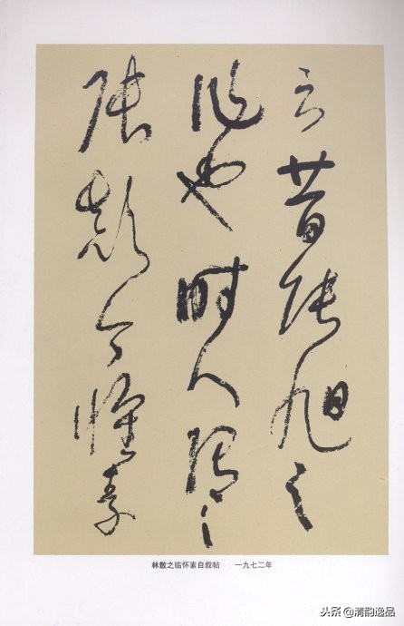 林散之笔谈书法原文,林散之书法用笔