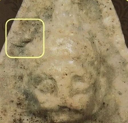 「鉴变」2494普陀耐最受欢迎的大模第二无耳线模