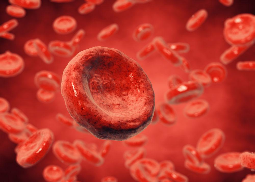 为什么月经血会凝固,医学科普为什么月经血不凝固