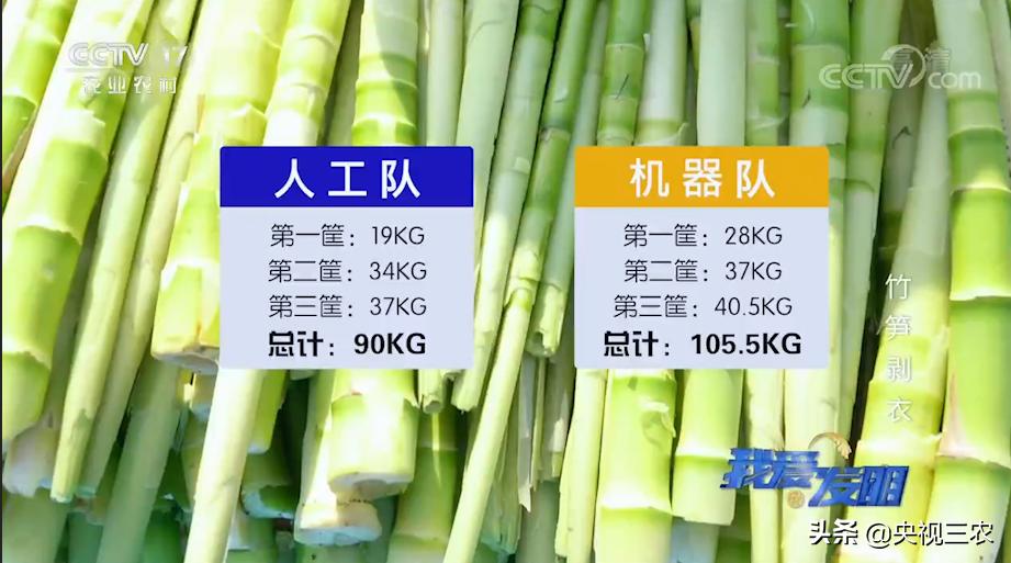 有了“王万能”发明的神器，竹笋剥皮轻松搞定