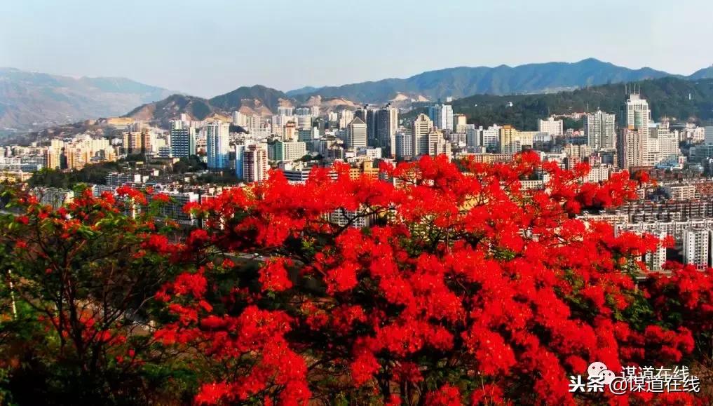 康养是指什么,康养是健康管理吗