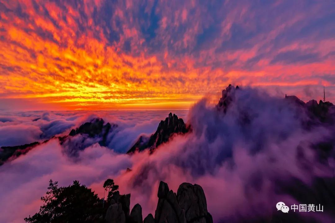 榛勫北绉嬪ぉ鎵撳崱,榛勫北绉嬪啲鎽勫奖澶ц禌