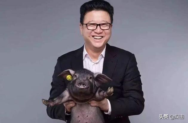 马云刘强东互联网养猪,为什么马云刘强东要去养猪