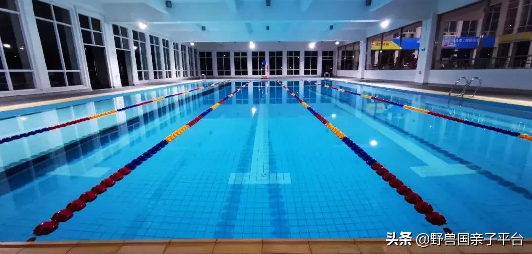 东莞哪里有学潜水的培训班,东莞潜水专业训练儿童