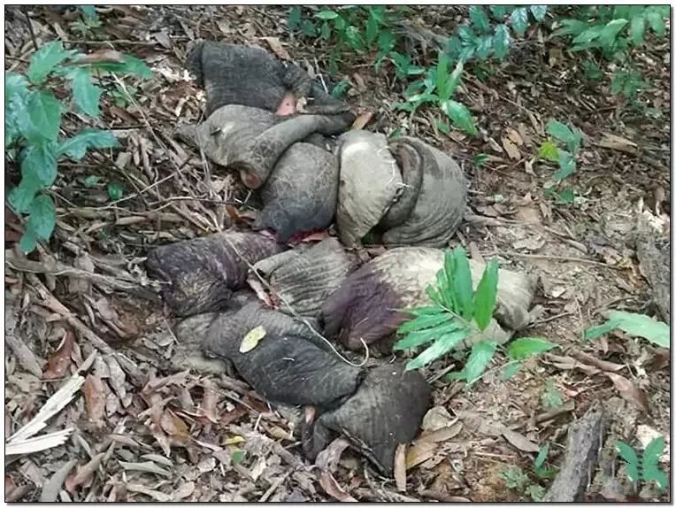 文玩的十大黑幕,文玩最让人无奈的六件事