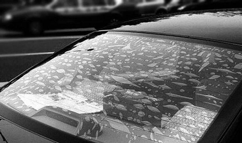 汽车贴膜后起泡怎么办,汽车玻璃贴膜起泡怎么撕掉