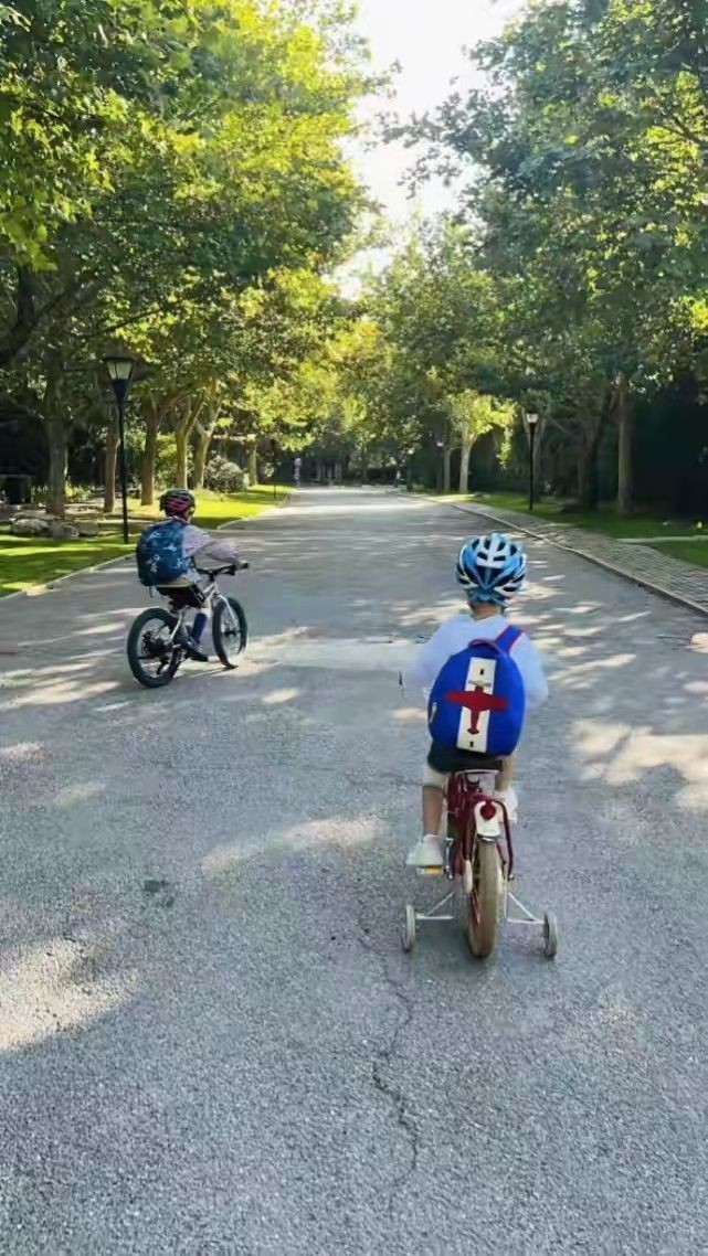 靳东俩儿子真厉害！小小年纪气场超稳，穿T恤“老干部”味不输爸