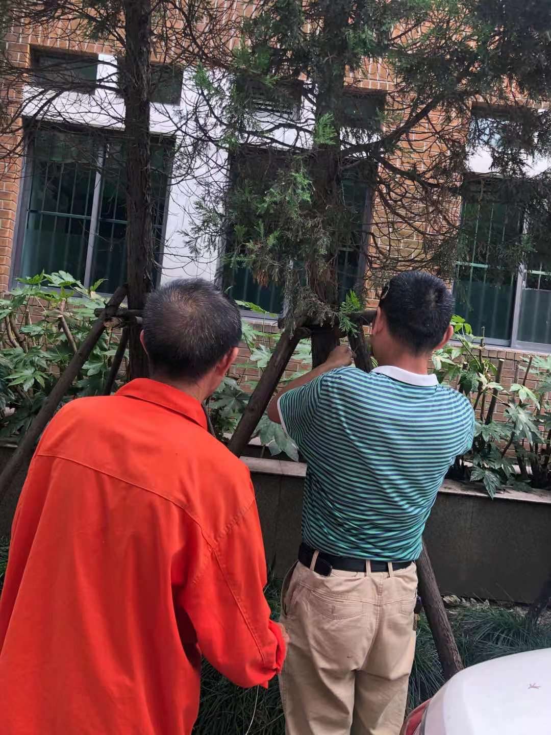 烟花来袭山东众志成城,烟花齐聚上海滩