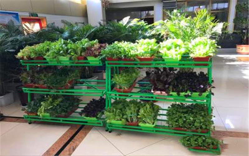 55岁没工作适合做什么小生意,50岁以上没工作在家做什么能赚钱