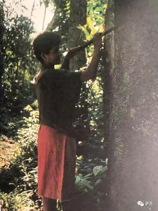 巴西是单一制国家还是联邦制国家,为什么说巴西是桑巴军团