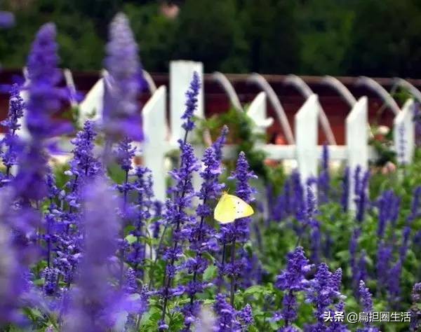 夏季穿什么颜色衣服容易被蚊子咬,夏天被蚊子咬时怎样能够快速缓解