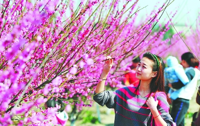 咏花开花落的古诗词,闲听花开花落整首诗