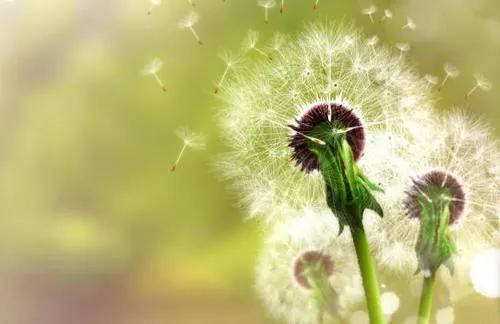 来自继母的爱,来自继母的宠爱