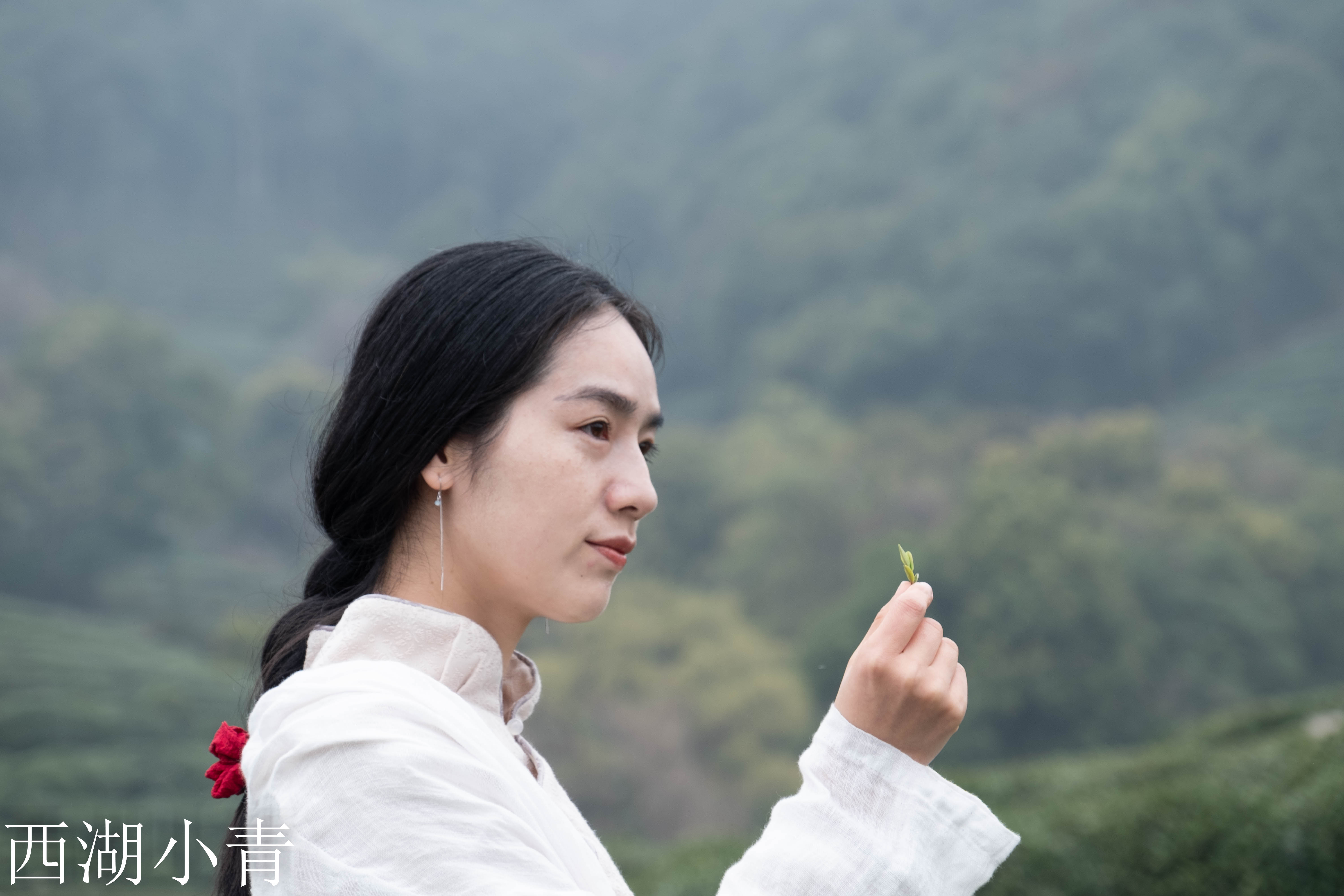 西湖龙井春茶季,龙井茶西湖明前春茶