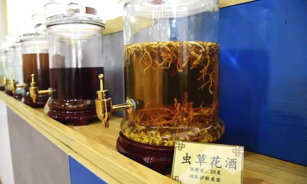 补肾药酒要会泡才是药酒,补肾壮阳的药酒一次喝多少好
