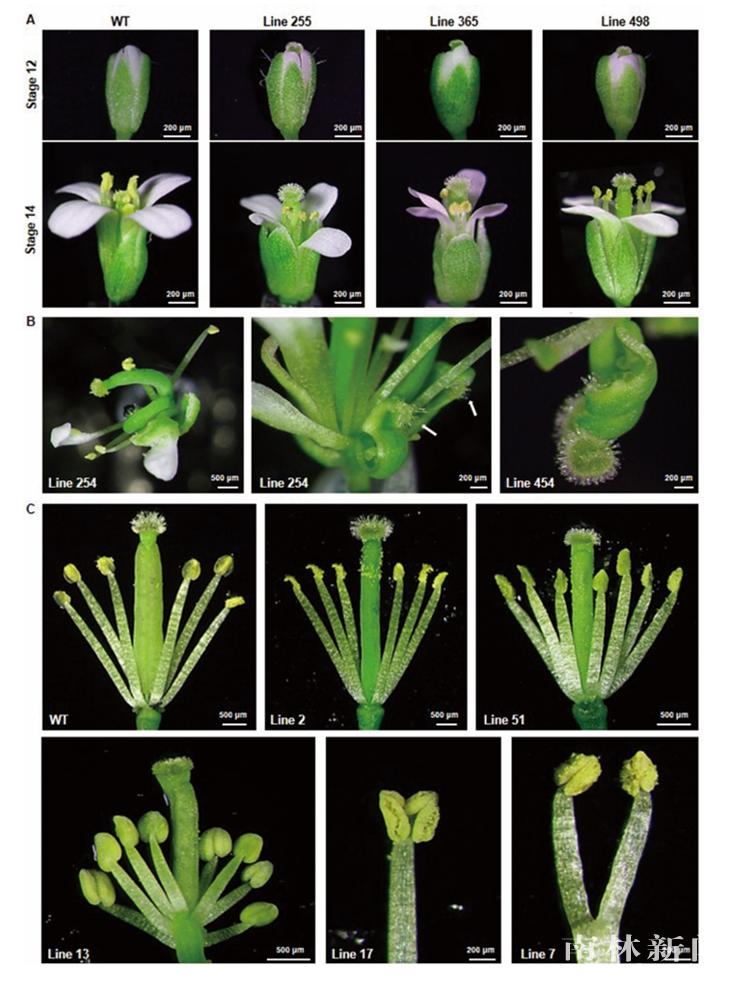 南京重大科技成果,重大突破中国科学家
