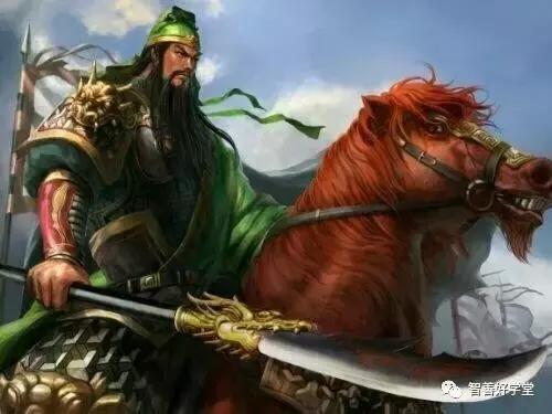 关于马的基本知识和方法,你知道吗关于马的一些小知识